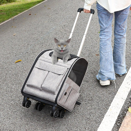 Comodo Trasportino animali con rotelle e maniglia allungabile